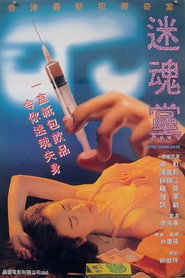 迷魂党 封面