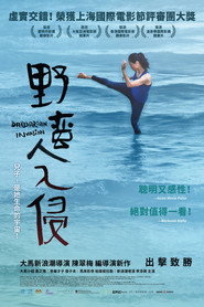 野蛮人入侵 封面