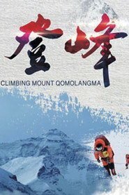 登峰 封面