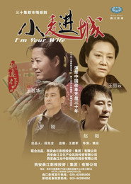 小麦进城 封面