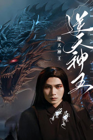 逆天神王 封面