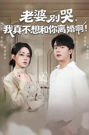 老婆别哭,我真不想和你离婚啊! 封面