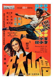 唐山大兄 封面