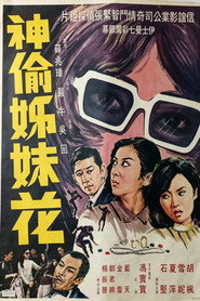 神偷姊妹花 封面