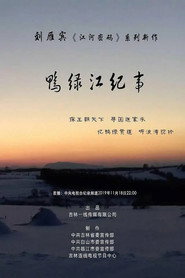 鸭绿江纪事 封面