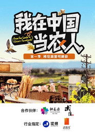 我在中国当农人 封面