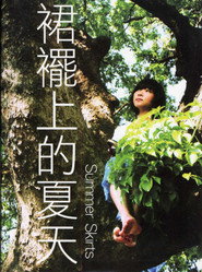 裙擺上的夏天 封面