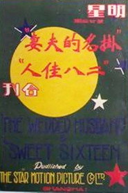 掛名的夫妻 封面