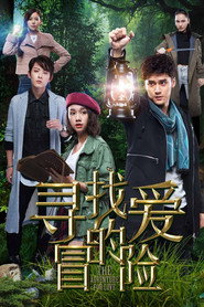 寻找爱的冒险 封面
