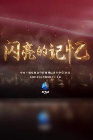 闪亮的记忆 封面