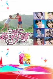 新不了情 封面