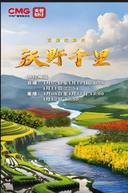 沃野千里 封面