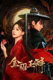 金昭玉醉 封面