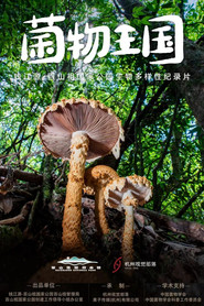菌物王国 封面
