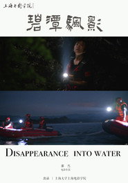 碧潭帆影 封面