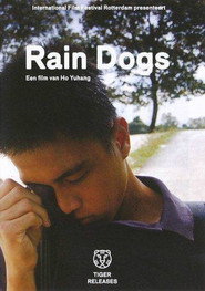 太陽雨 封面