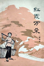 红霞万朵 封面