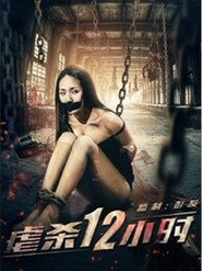 虐杀12小时 封面