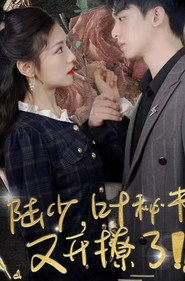 陆少叶秘书又开撩了 封面