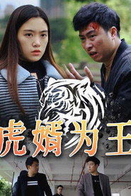 虎婿为王 封面