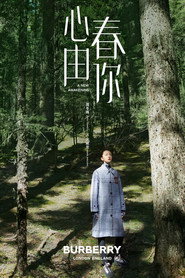 心春由你 封面
