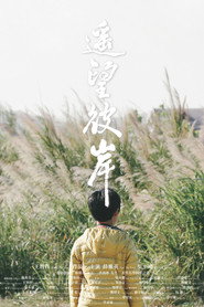 遙望彼岸 封面