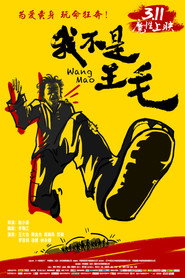 我不是王毛 封面