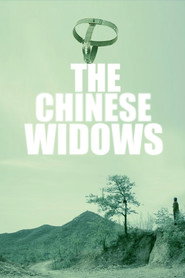 中国式寡妇 封面