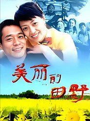 美丽的田野 封面