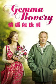 新包法利夫人 封面