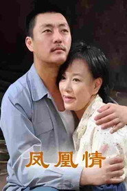 凤凰情 封面