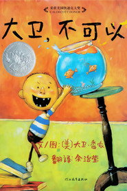 大卫 封面