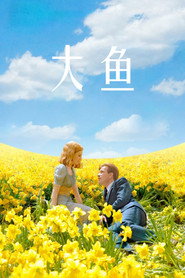 大鱼 封面