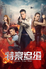 特案追缉 封面