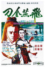 飞燕金刀 封面