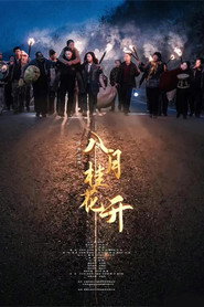 八月桂花开 封面