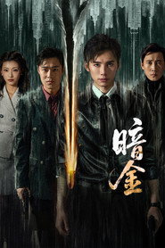 暗金 封面