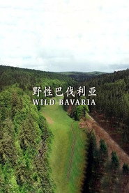 野性巴伐利亚 封面