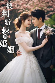 披荆斩棘的婚姻 封面