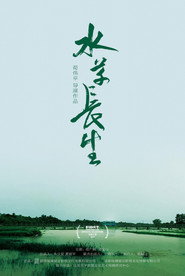 水草长生 封面
