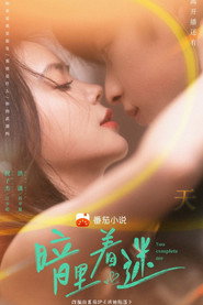 暗里着迷 封面
