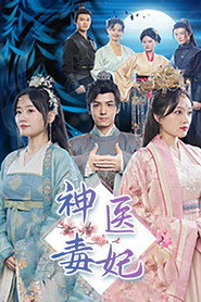 神医毒妃 封面