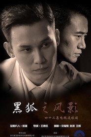 黑狐之风影 封面
