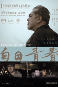 白日青春 封面