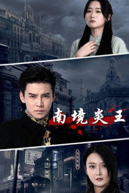 南境炎王 封面