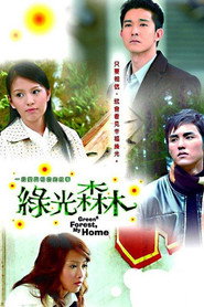 绿光森林 封面