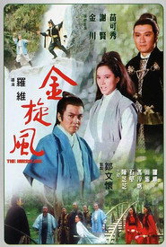 金旋风 封面