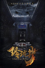 玲珑井 封面