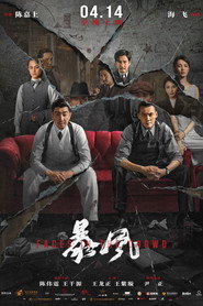 暴风 封面