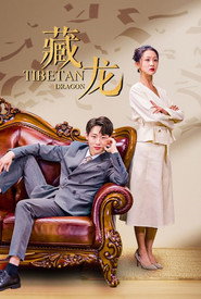 藏龙 封面